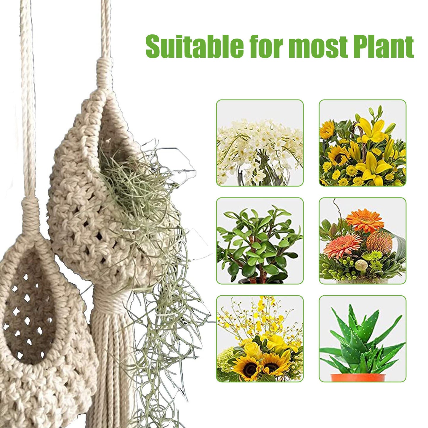 Macrame Air Plant Hanger Tillandsia Hanging Basket Rope Holder Flower Home Decor